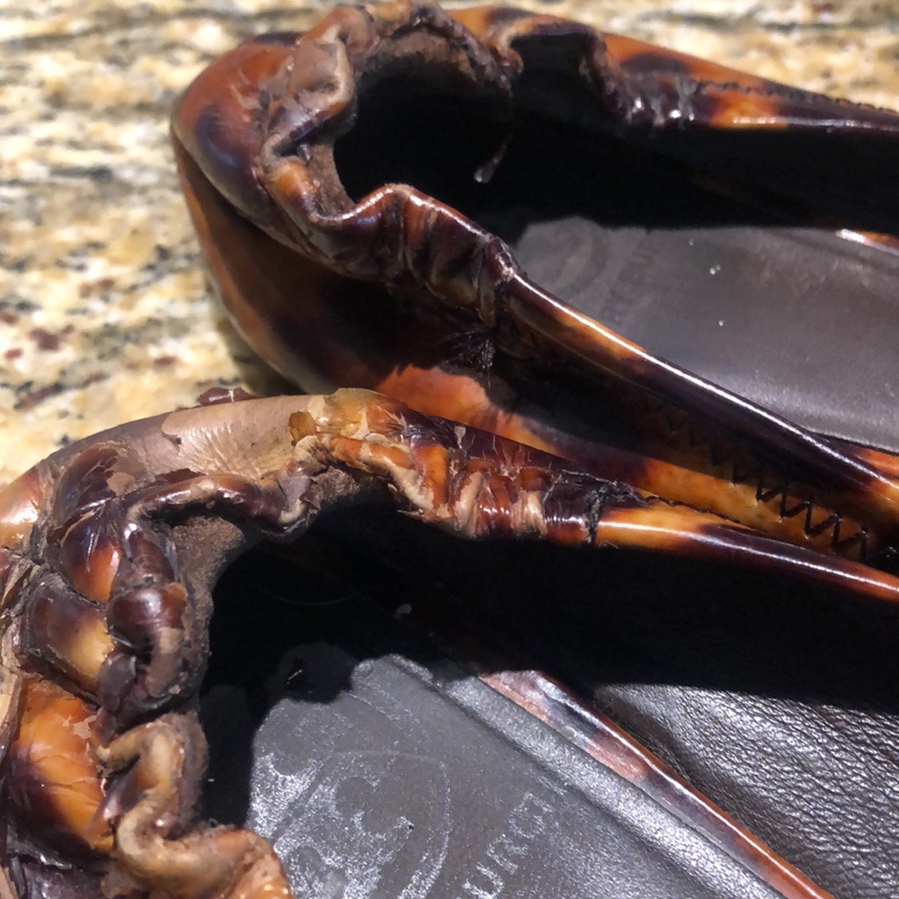 Tory Burch Ballet Shoes - Picture 6 of 8